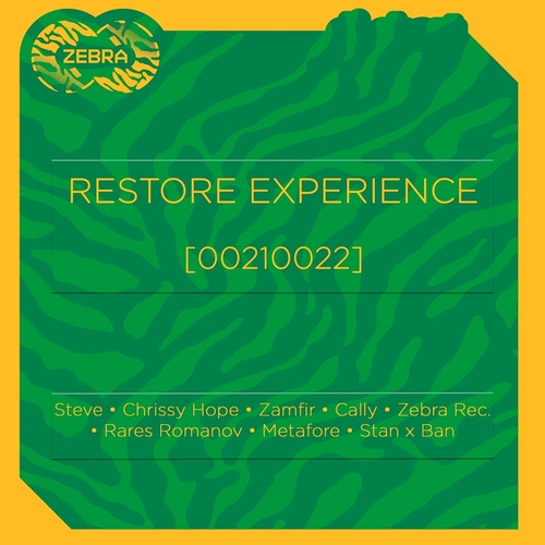 VA - Restore Experience (00210022) [1291069]